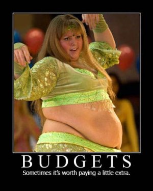 budgets-sometimes-its-worth-paying-a-little-extra-demotivational-poster.jpg