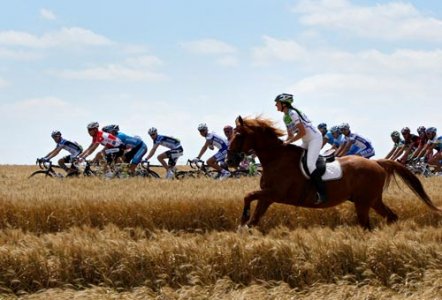 horse-bike-race.jpg