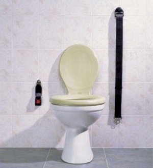 toilet-seat-belt.jpg