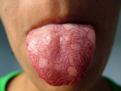 topographic-tongue.jpg