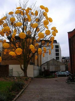 yellow-umbrella-tree.jpg