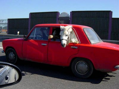 pony-car-ride.jpg