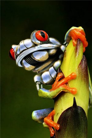 robo-frog.jpg