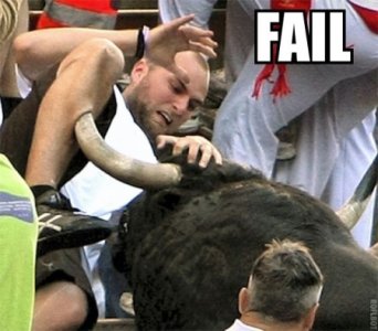 bull_fail.jpg