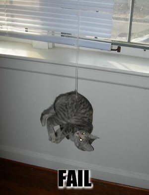 fail%2520cat.jpg