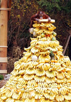 monkey-banana-tower.jpg