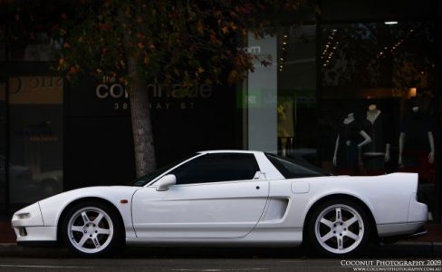 Coconut NSX1 resized.jpg