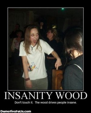 insanity-wood-dont-touch-it-the-wood-makes-people-insane-demotivational-poster.jpg