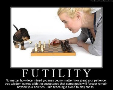 motivational-poster-futility-wisdom.jpg