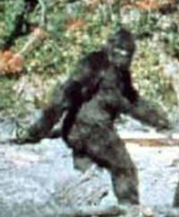 patterson_bigfoot copy.jpg