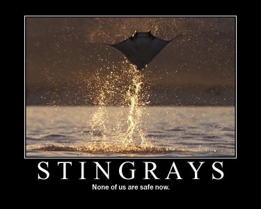 motivational-posters-stingrays-flying-out-of-the-w1.jpg