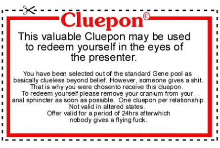 cluepon-vi.jpg