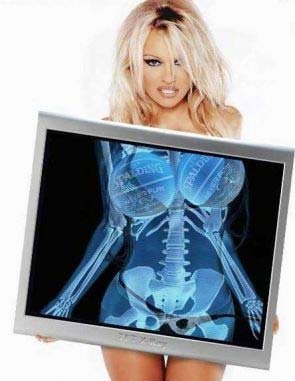 pamela_anderson.jpg