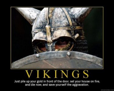 vikings.jpg