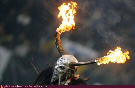 wtf-pics-burning-horns.jpg