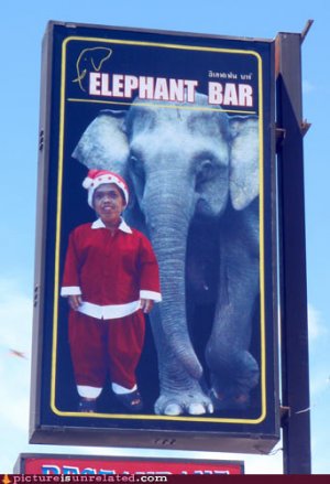 wtf-pics-elephant-bar.jpg