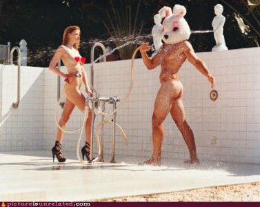 wtf-pics-rabbit-shower.jpg