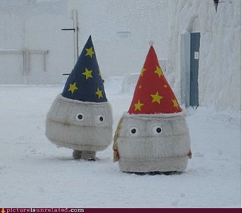 wtf-pics-winter-gnomeball.jpg