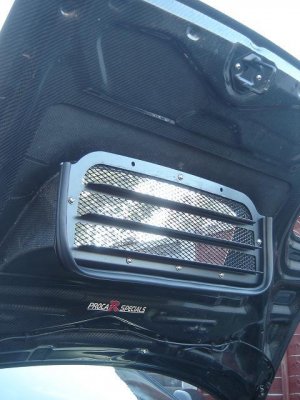 Hood screen with trim.JPG