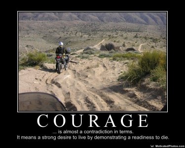 633519386895590275-courage-is-almost-a-contradiction-in-terms.jpg