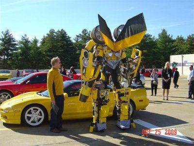 NSX and Bumble Bee.jpg