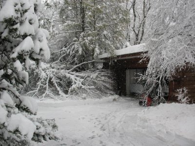 2010-02-26 Winter Storm 012.jpg