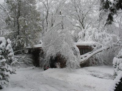 2010-02-26 Winter Storm 010.jpg