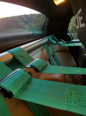 Harnesses.jpg