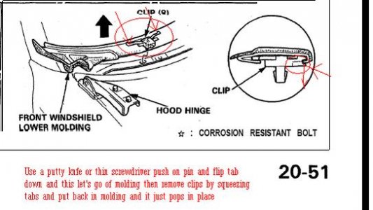 Windsheild clips.jpg