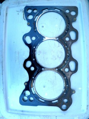 Head Gasket.jpg