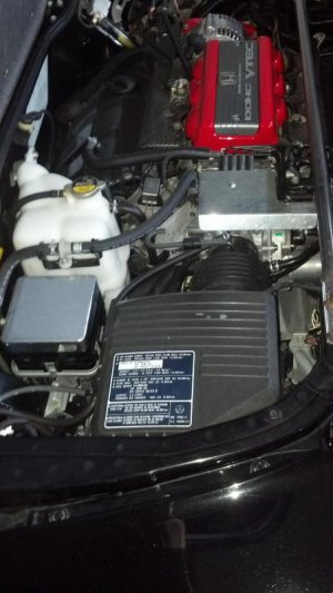 Left Engine Bay.jpg