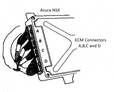 ECM.png