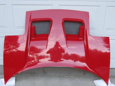 nsx hood top.jpg