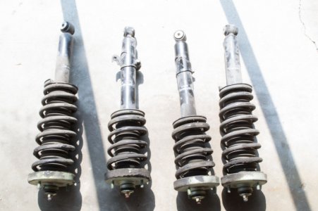 oem_shocks-1.jpg