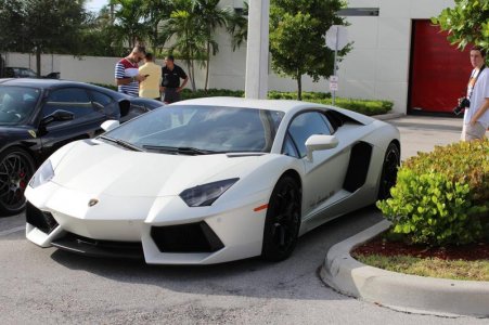 Matte White Lambo.jpg