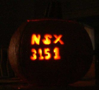 nsx_pumpkin3151.jpg