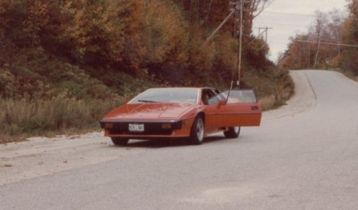 1986_Lotus.jpg