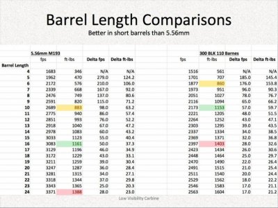 300 blk vs 5.56.jpg