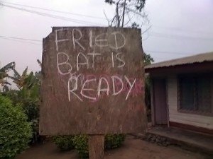 fried-bat-300x225.jpg