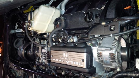 My 91 NSX engine.jpg