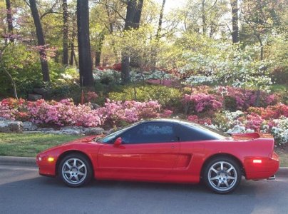 Norms NSX 10.jpg