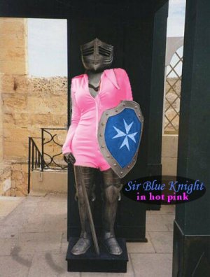 blue knight with christine\'s hot pink body.jpg