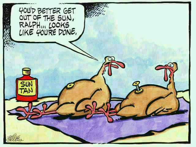 funny-thanksgiving-turkey-cartoon2.jpg