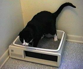 catbox2.jpg