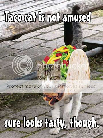 Tacocat.jpg