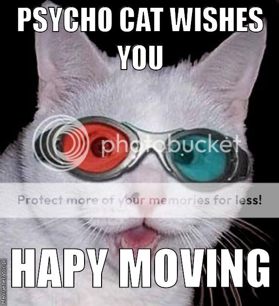 psycho-cat-wishes-you-hapy-moving-en-ffffff.jpg