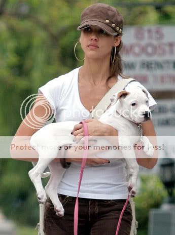 que le paso a jessica simpson perro daisy