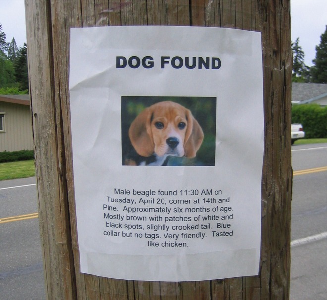 dog_found.jpg