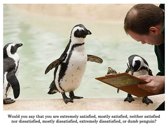 penguin-opinion.jpg