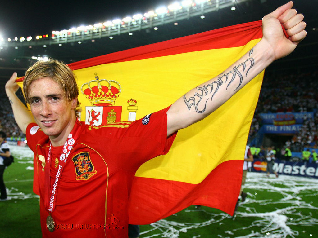 fernando-torres.jpg